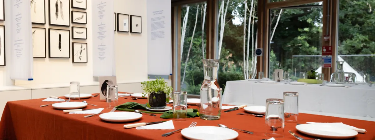 OmVed Special Creative Supper Club