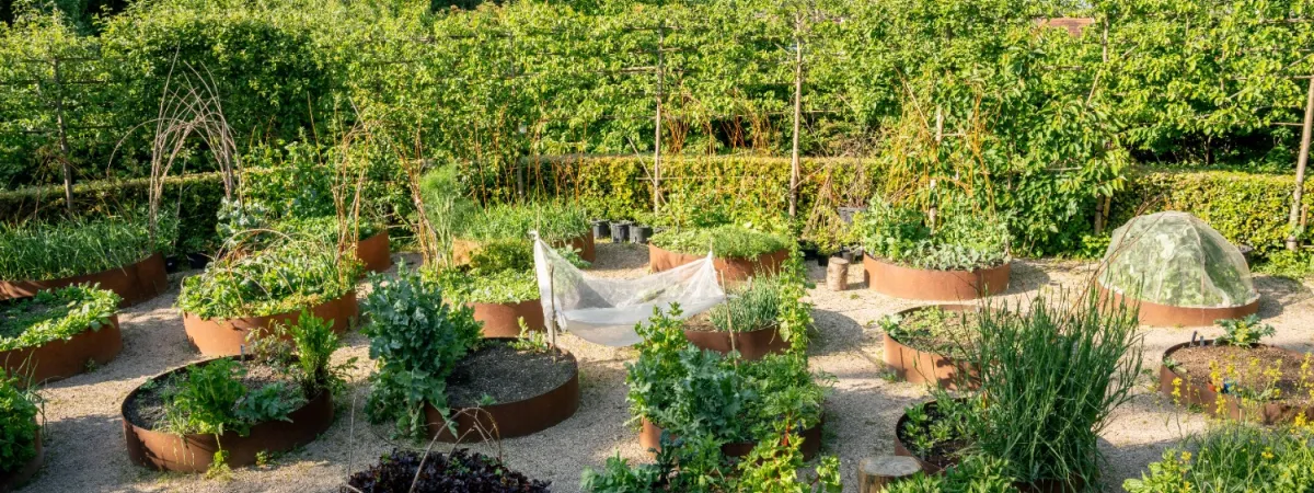 The Regenerative Garden: Nature-crafts and Biochar with John Gaffney