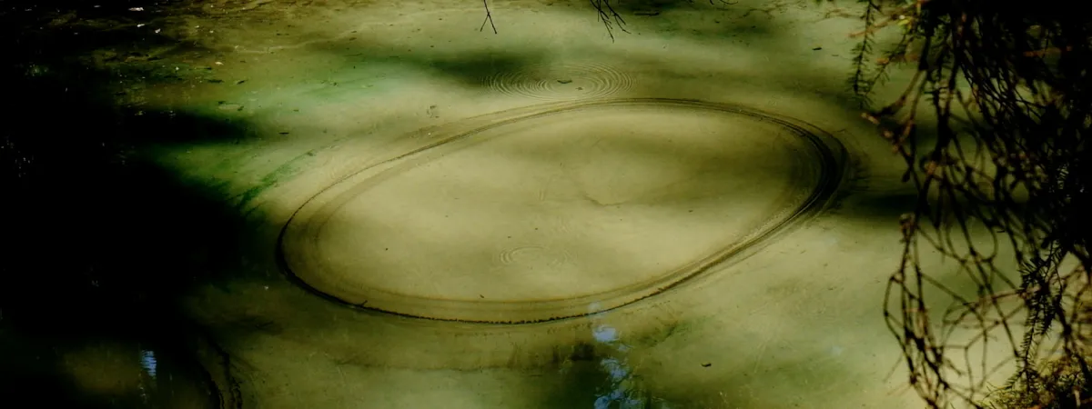 Midweek Meditation: Sensing Earth a meditation in clay with Arran Gregory